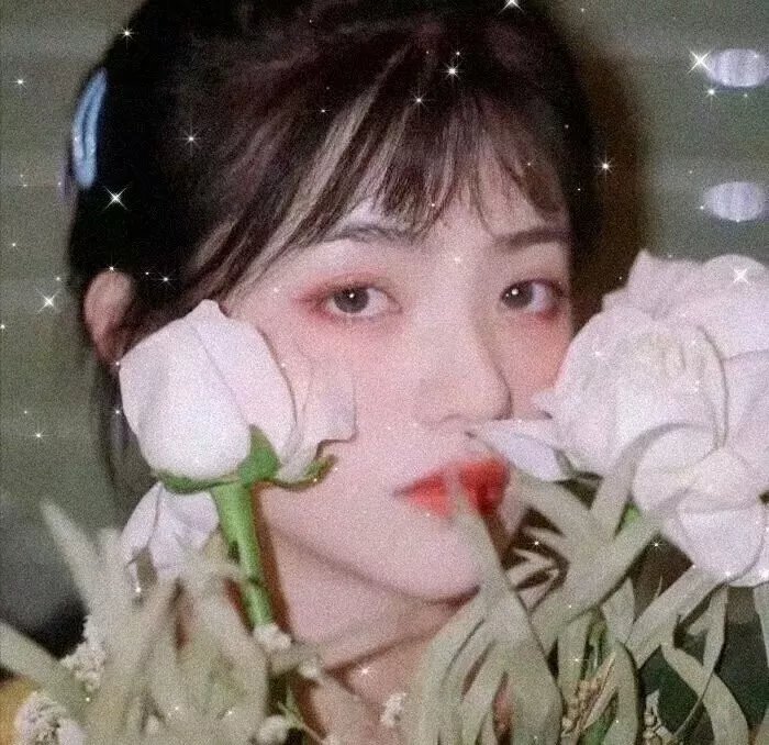 美丽天堂